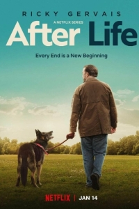 Постер Следом за жизнью (After Life)