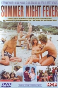 Постер Лихорадка летней ночи (Disco Summer)