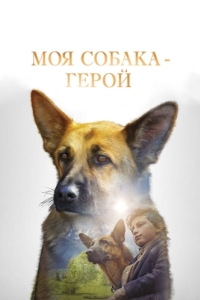 Постер Моя собака - герой (Shepherd: The Story of a Jewish Dog)