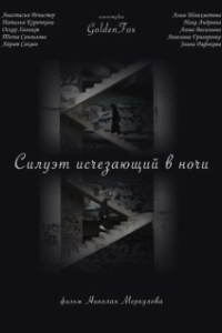 Постер Силуэт, исчезающий в ночи 