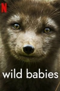 Постер Детки не в клетке (Wild Babies)