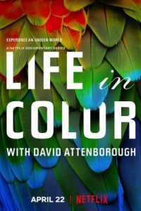 Постер Жизнь в цвете с Дэвидом Аттенборо (Life in Colour)