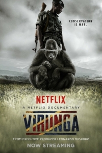 Постер Вирунга (Virunga)
