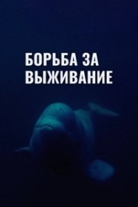 Постер Борьба за выживание (Survival Quest)