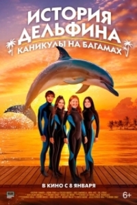 Постер История дельфина: Каникулы на Багамах (Saving Bimini)