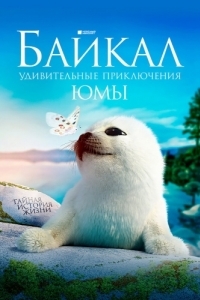 Постер Байкал. Удивительные приключения Юмы 