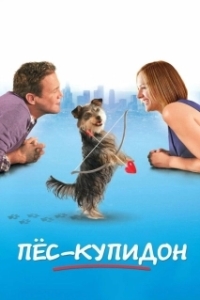 Постер Пес-купидон (Gabe the Cupid Dog)