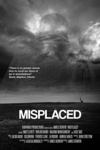 Постер Потерянный (Misplaced)