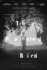 Постер Раскрашенная птица (The Painted Bird)