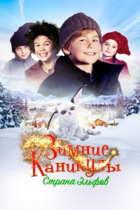 Постер Зимние каникулы: Страна эльфов (Familien Jul i nissernes land)