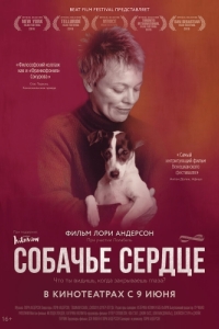 Постер Собачье сердце (Heart of a Dog)