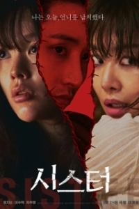 Постер Сестра (Siseuteo)