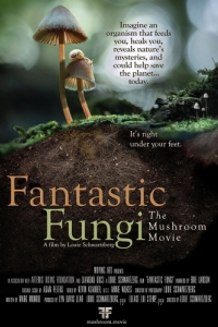 Постер Фантастические грибы (Fantastic Fungi)