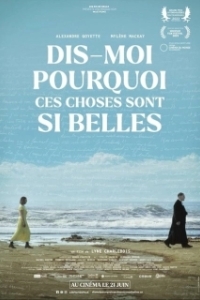 Постер Скажи мне, почему это так прекрасно (Dis-moi pourquoi ces choses sont si belles)