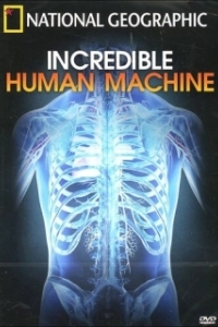 Постер Невероятное тело человека (Incredible Human Machine)