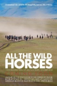 Постер Дикие лошади (All the Wild Horses)