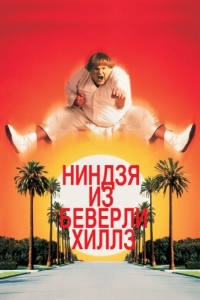 Постер Ниндзя из Беверли Хиллз (Beverly Hills Ninja)