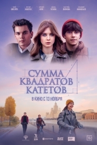 Постер Сумма квадратов катетов 