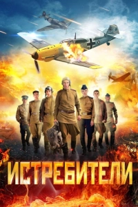 Постер Истребители 
