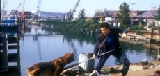 Тёрнер и Хуч (1989)